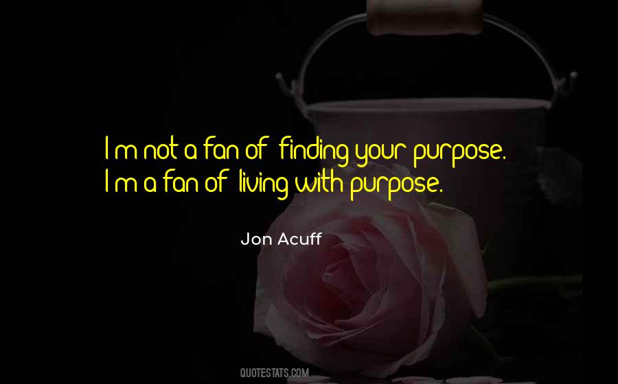 Jon Acuff Quotes #199088