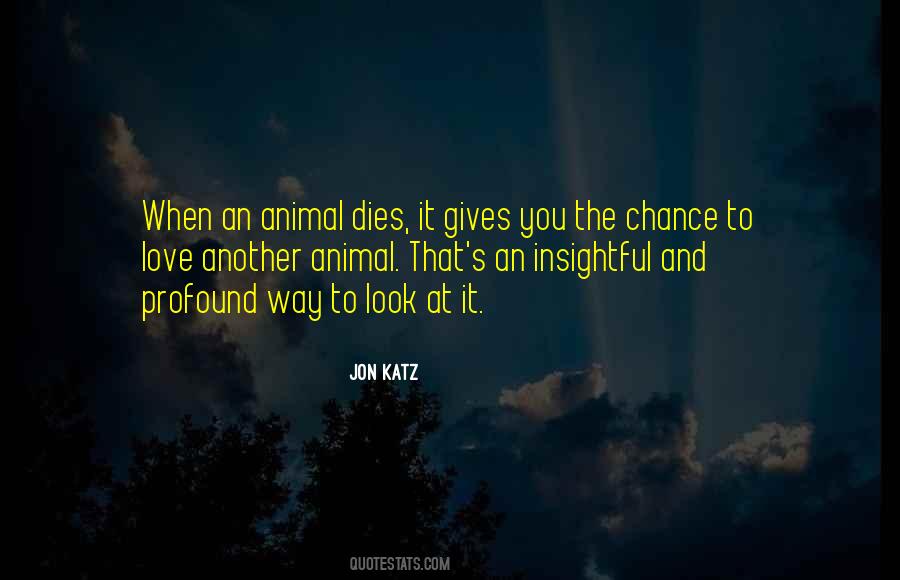 Jon Katz Quotes #169909