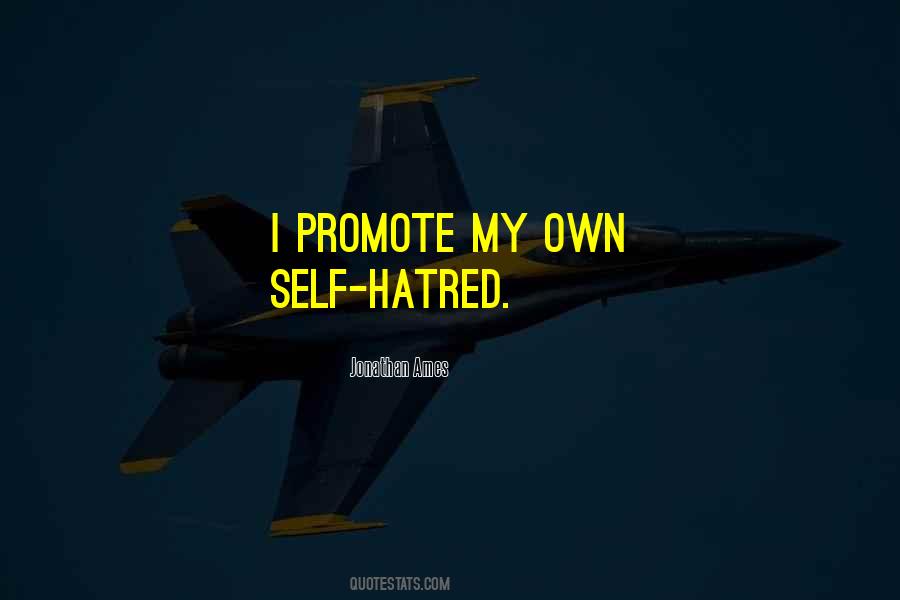Jonathan Ames Quotes #1181365