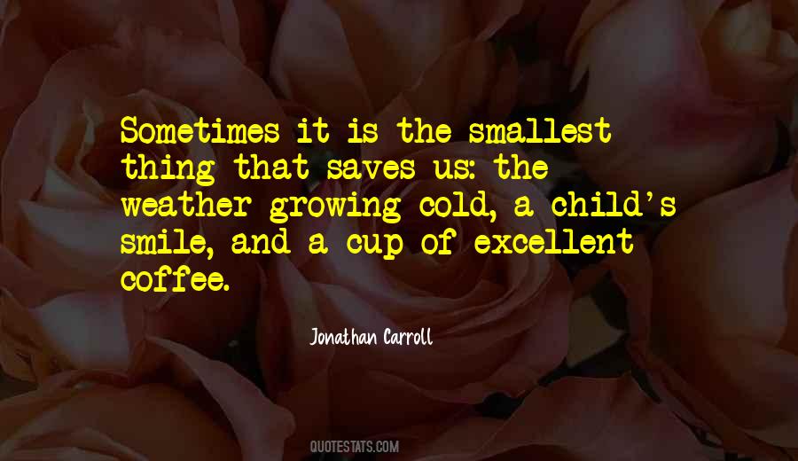 Jonathan Carroll Quotes #1635024