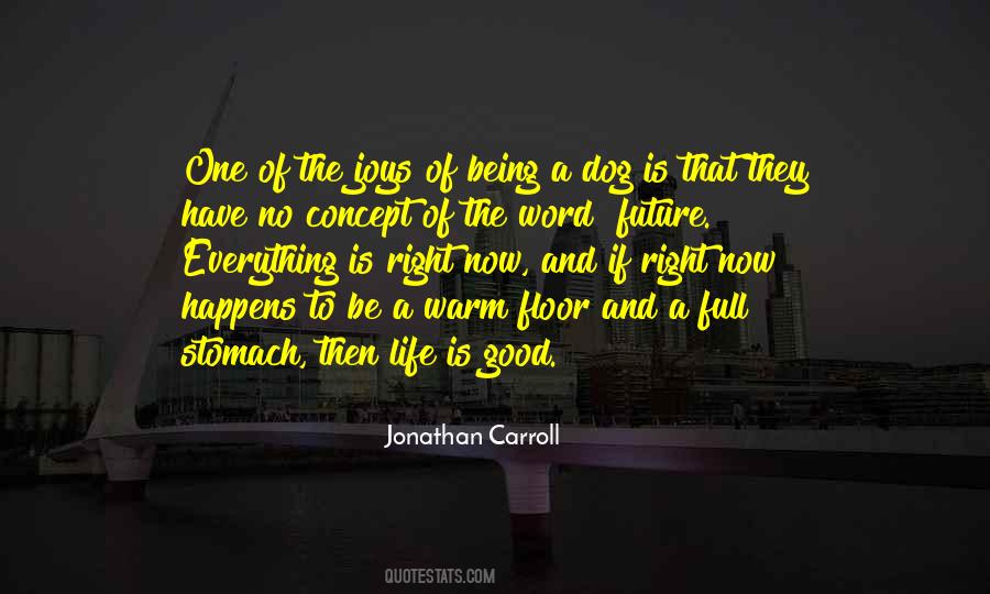 Jonathan Carroll Quotes #641434