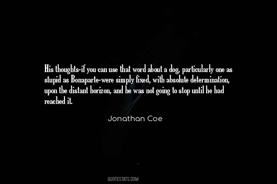 Jonathan Coe Quotes #666744