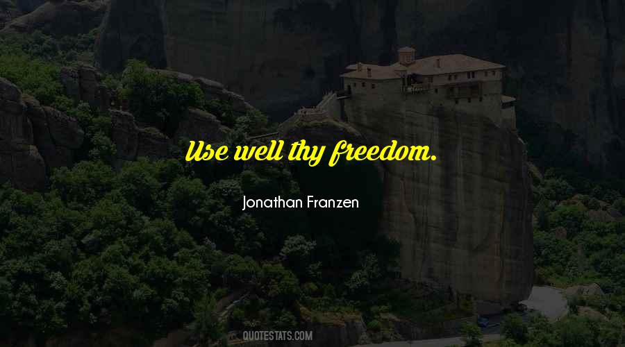 Jonathan Franzen Quotes #443953
