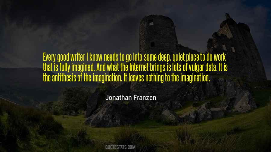 Jonathan Franzen Quotes #801627