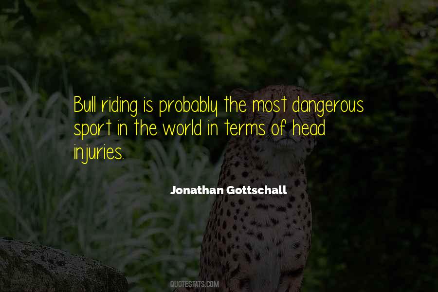 Jonathan Gottschall Quotes #83521