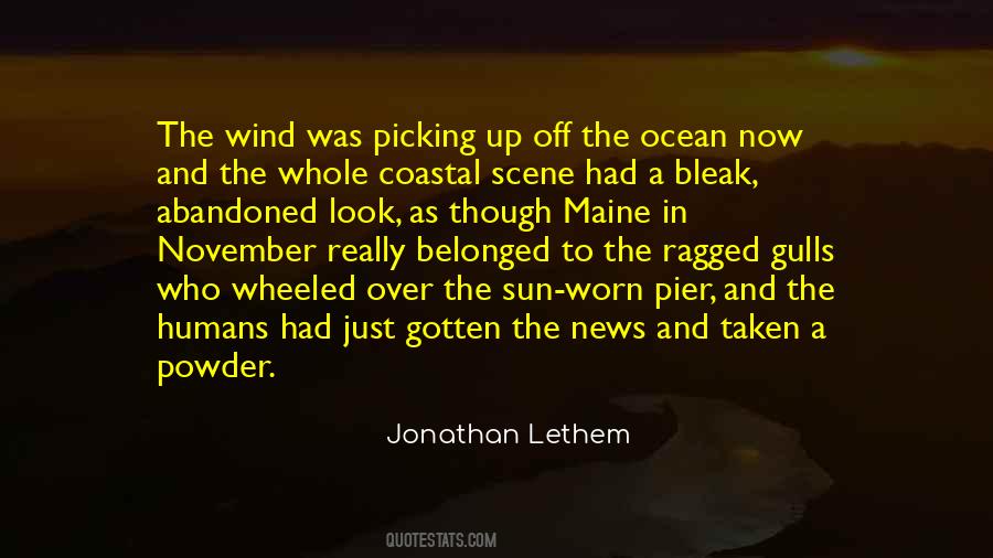 Jonathan Lethem Quotes #415100