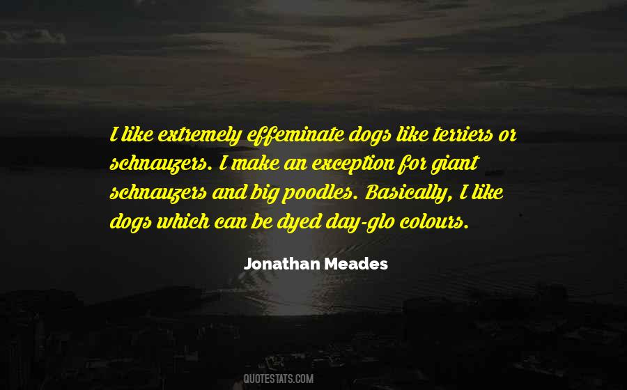 Jonathan Meades Quotes #554712