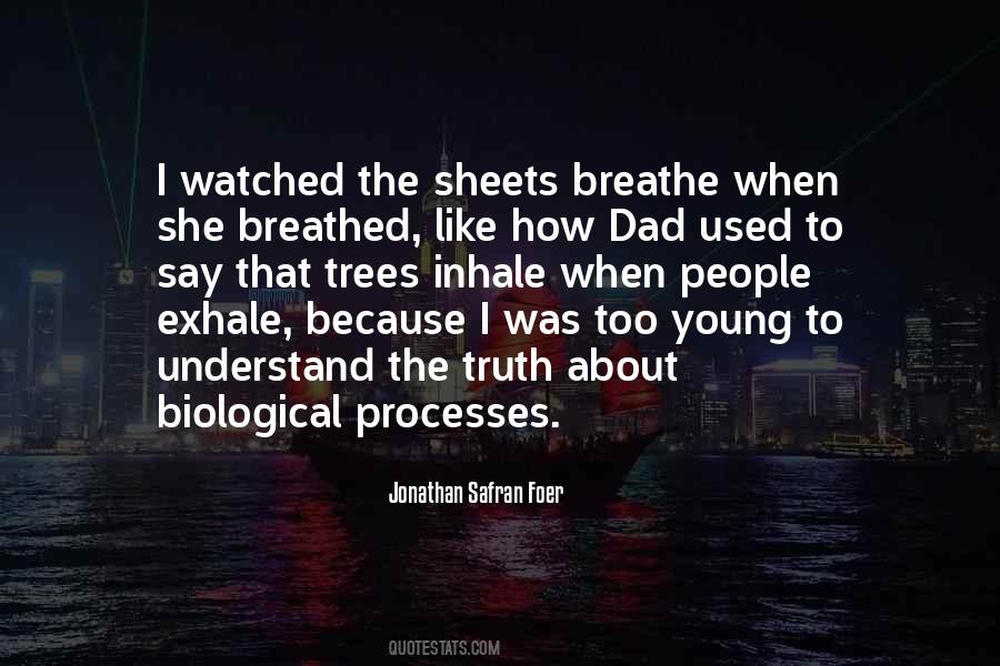 Jonathan Safran Foer Quotes #1084484