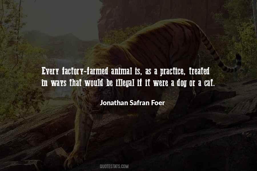 Jonathan Safran Foer Quotes #454094