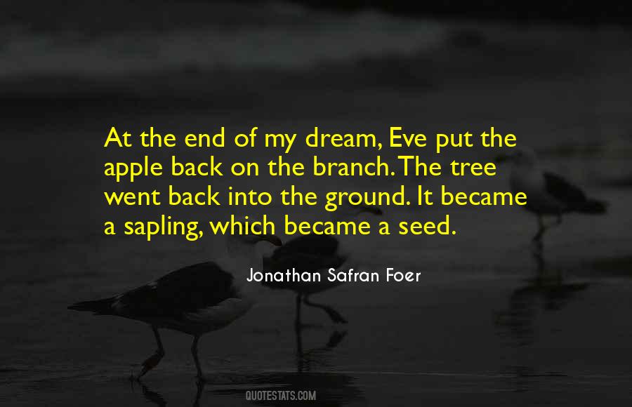 Jonathan Safran Foer Quotes #491081