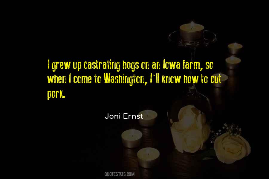 Joni Ernst Quotes #1074207