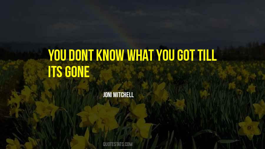 Joni Mitchell Quotes #1595147