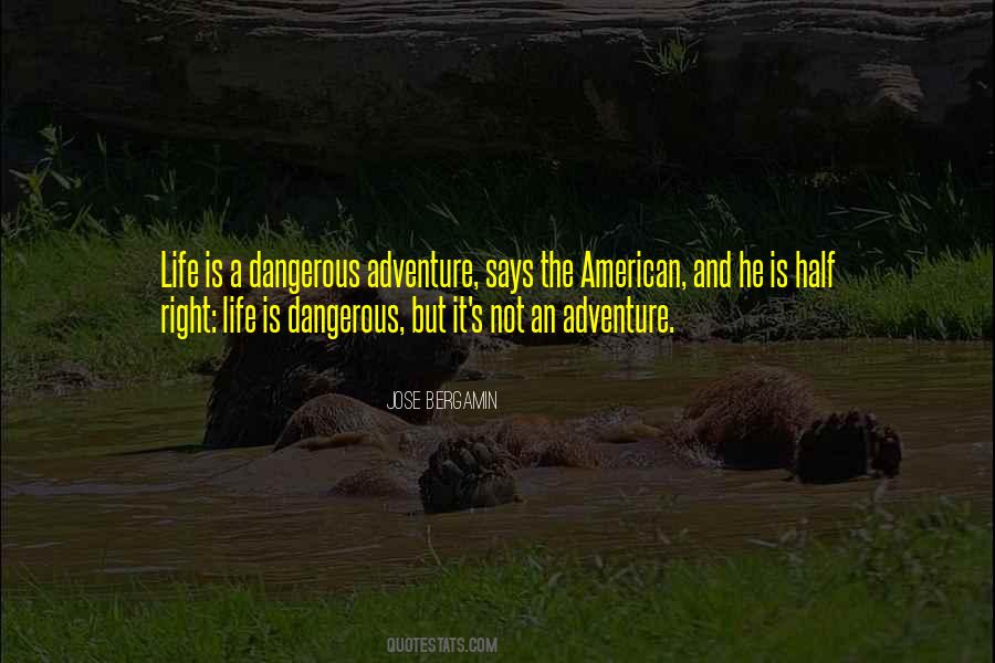 Jose Bergamin Quotes #1358390