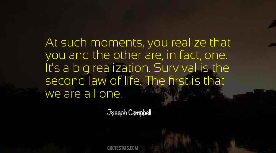 Joseph Campbell Quotes #84187