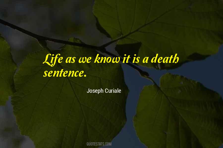 Joseph Curiale Quotes #426105