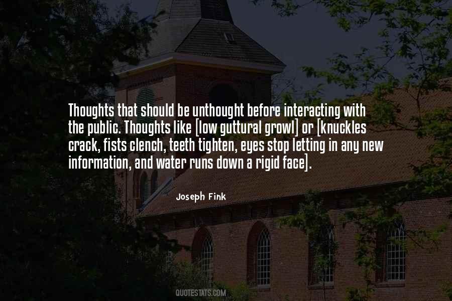 Joseph Fink Quotes #1311678