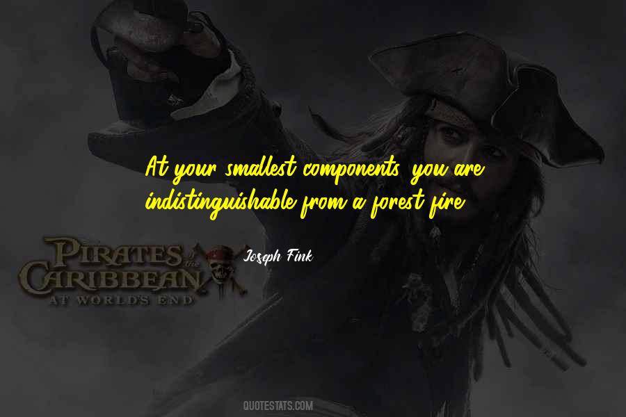 Joseph Fink Quotes #1674395