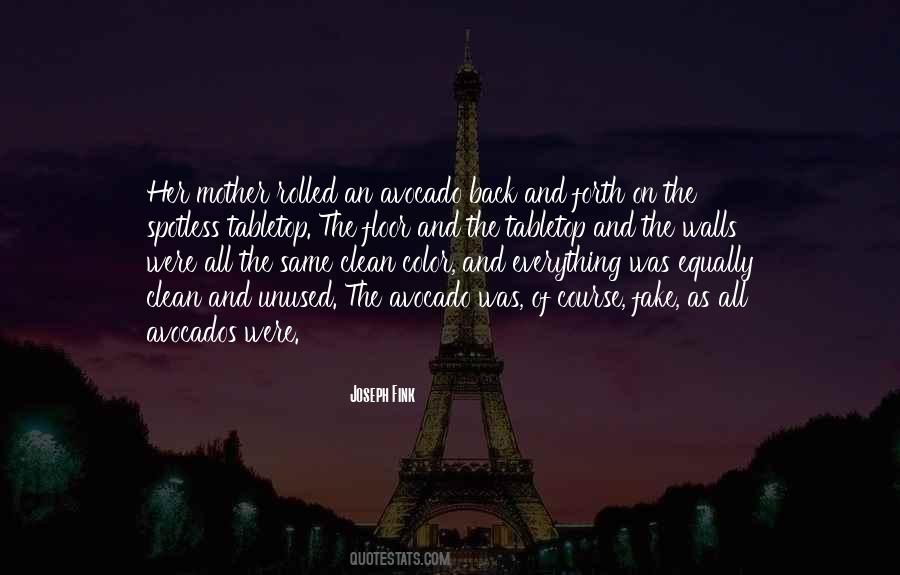 Joseph Fink Quotes #288822