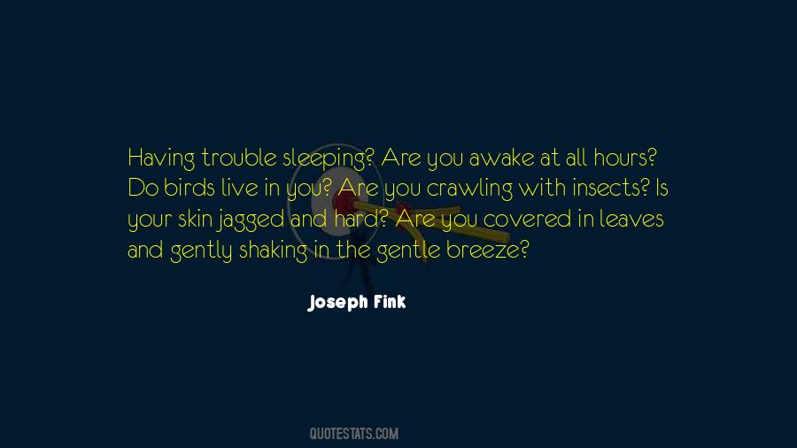 Joseph Fink Quotes #603901