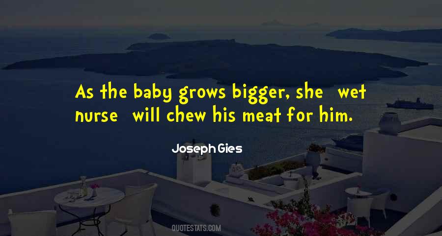 Joseph Gies Quotes #1291811