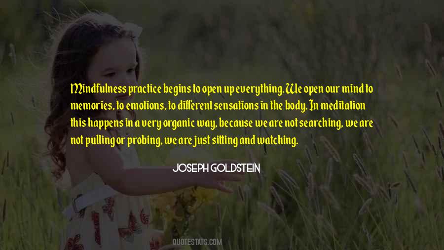 Joseph Goldstein Quotes #138483