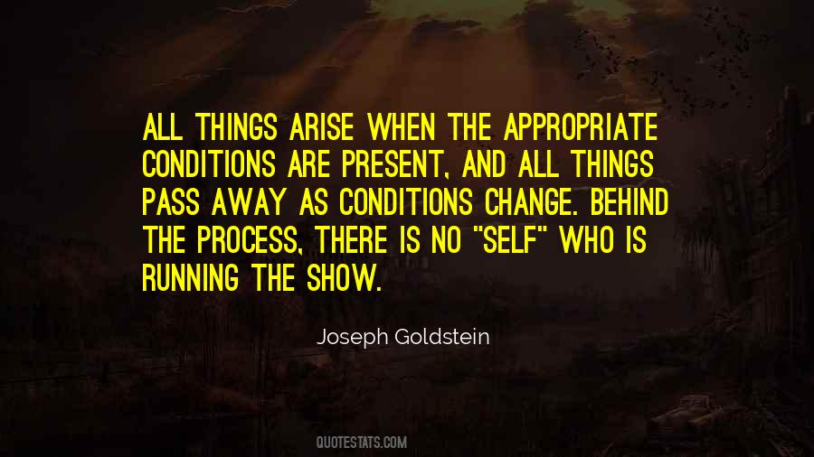 Joseph Goldstein Quotes #1752575