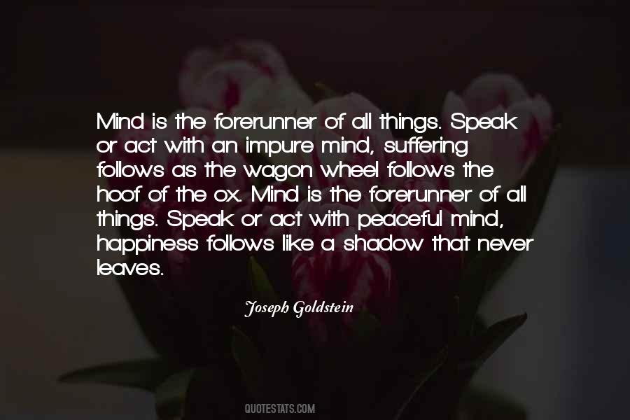 Joseph Goldstein Quotes #878824