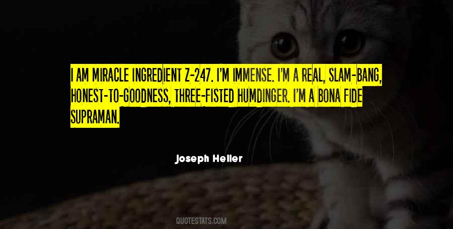 Joseph Heller Quotes #1178563