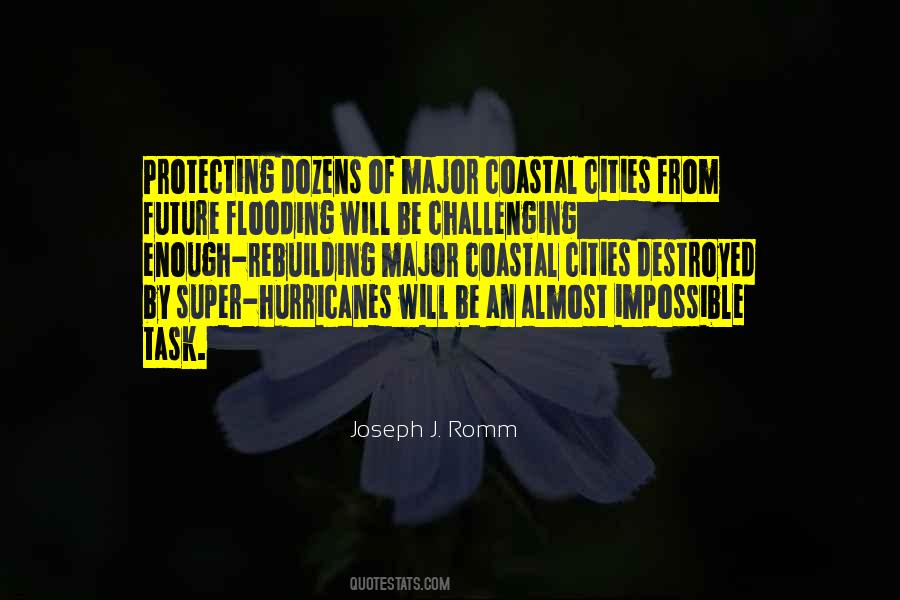 Joseph J. Romm Quotes #1667343