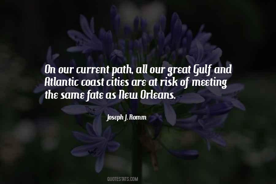 Joseph J. Romm Quotes #914456
