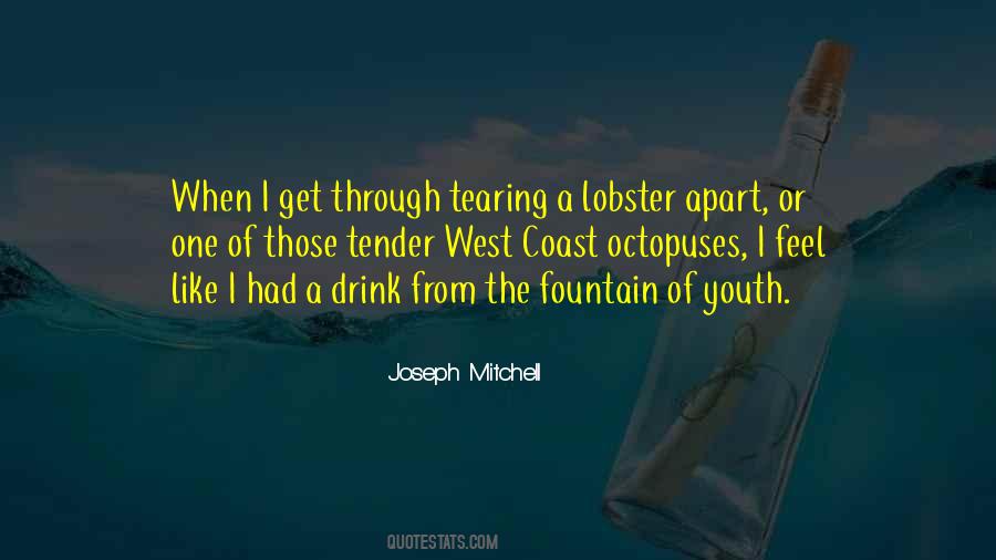Joseph Mitchell Quotes #1166545