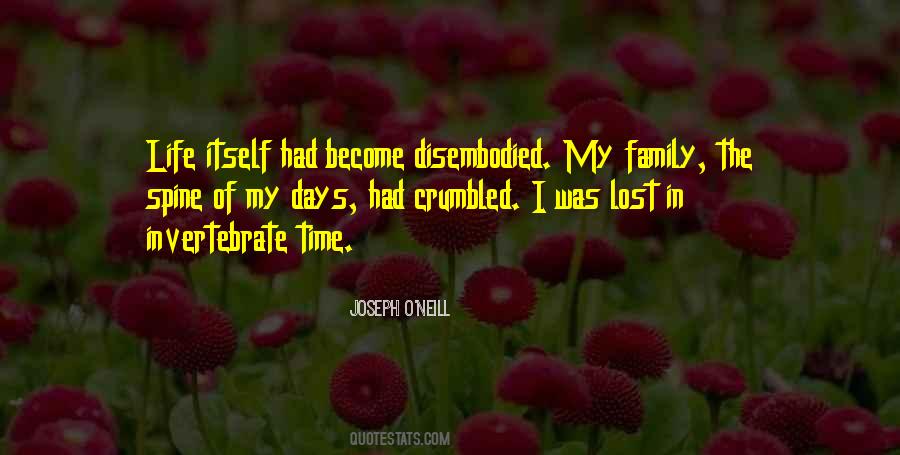 Joseph O'Neill Quotes #1279738