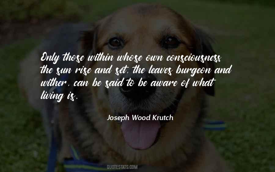 Joseph Wood Krutch Quotes #1016357