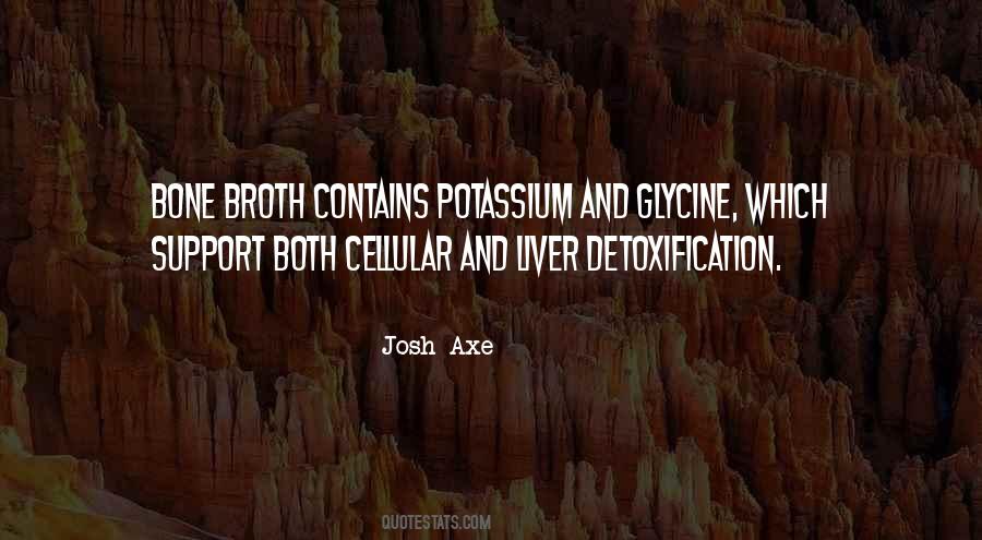 Josh Axe Quotes #1761273 Josh Axe Quotes #1761273
