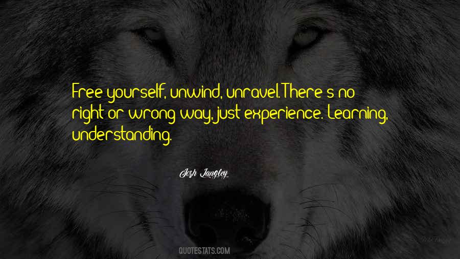 Josh Langley Quotes #1675924