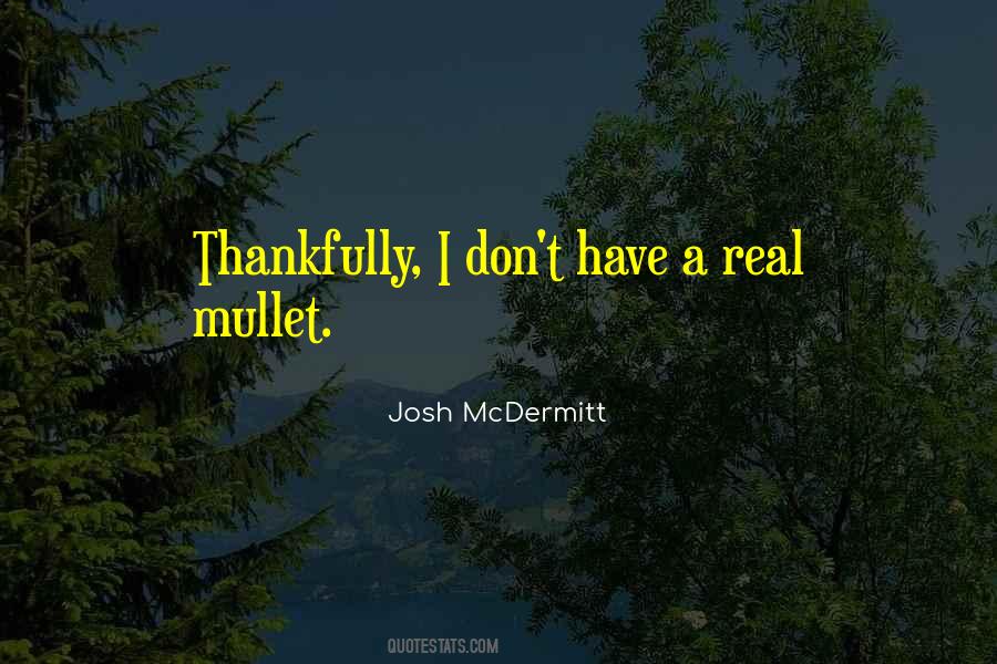 Josh McDermitt Quotes #1179339