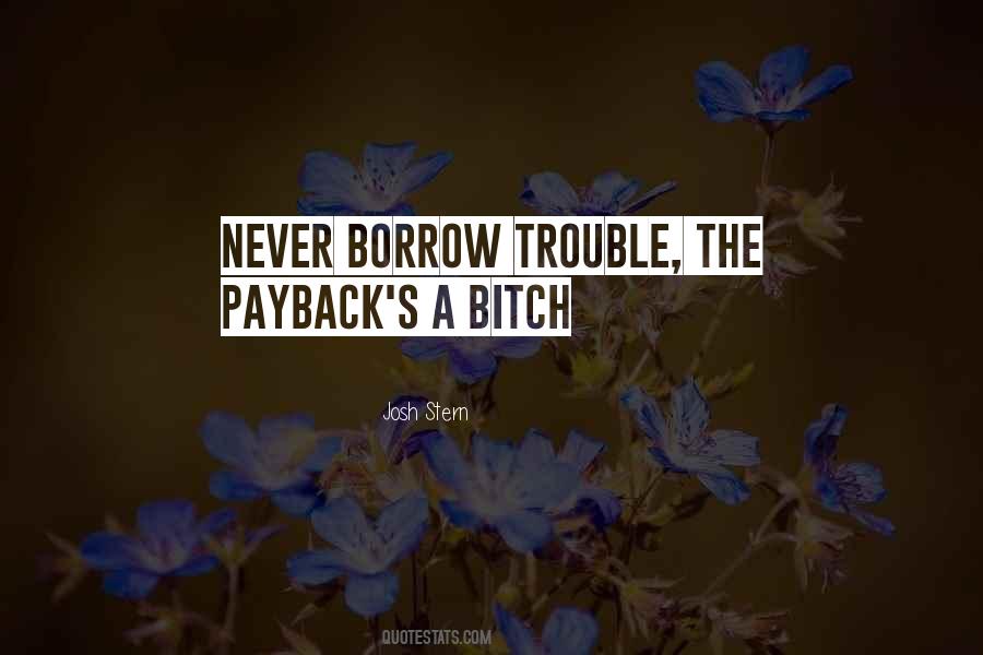 Josh Stern Quotes #127568