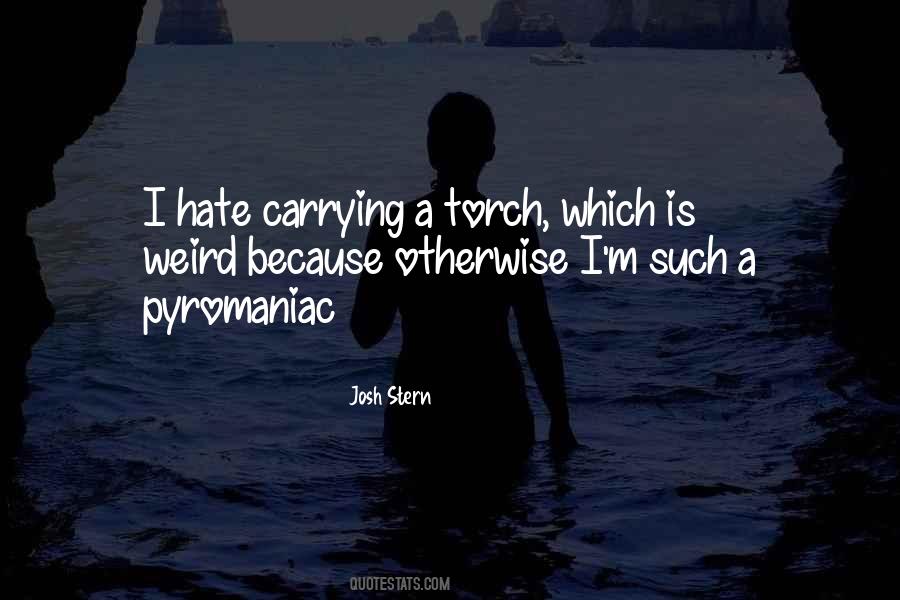 Josh Stern Quotes #1578646