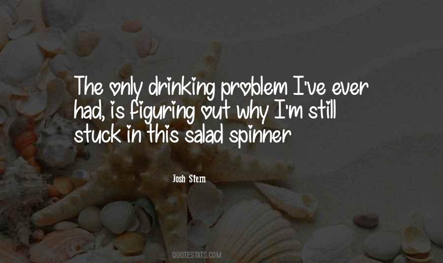Josh Stern Quotes #1630500