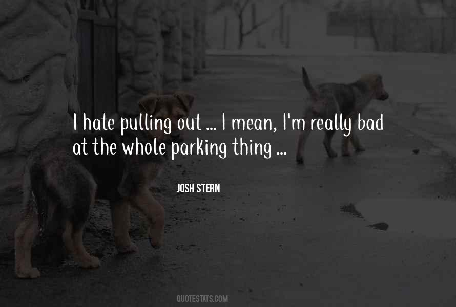 Josh Stern Quotes #1638634