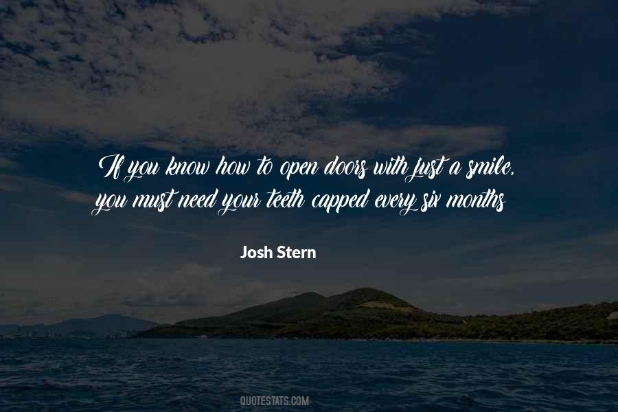 Josh Stern Quotes #1847656