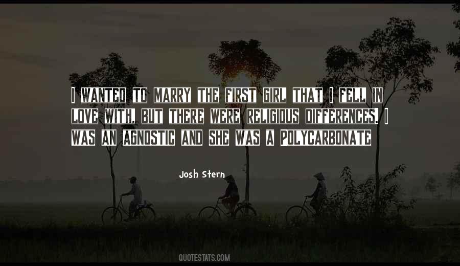 Josh Stern Quotes #651854