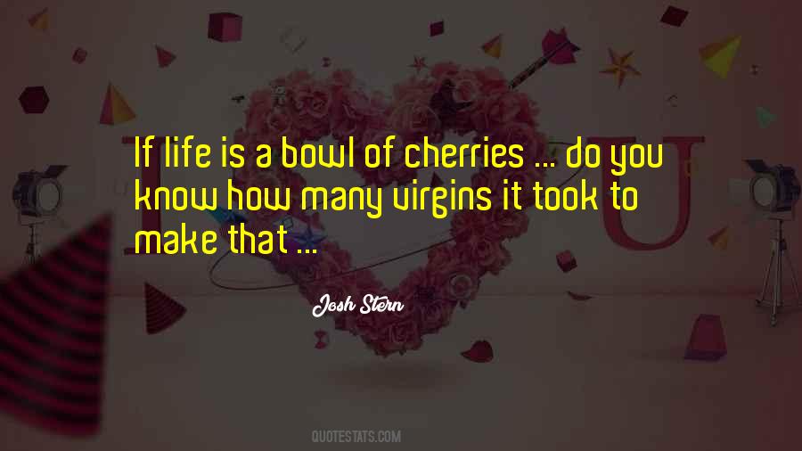 Josh Stern Quotes #677579