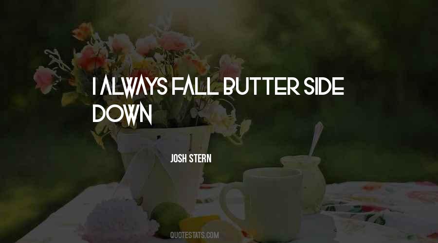 Josh Stern Quotes #926762