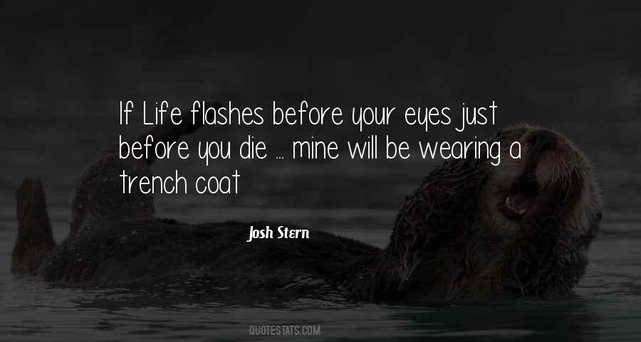 Josh Stern Quotes #929052