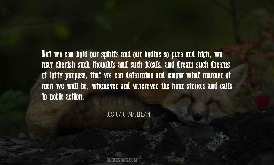 Joshua Chamberlain Quotes #1772271