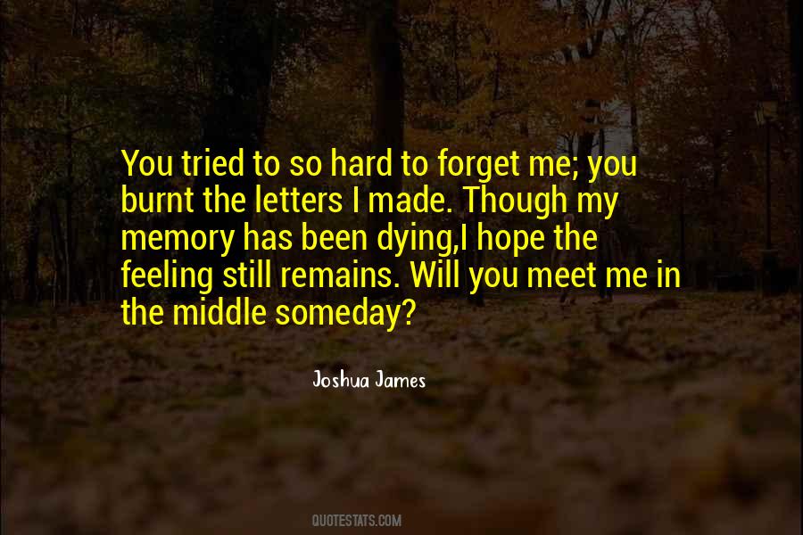 Joshua James Quotes #929360