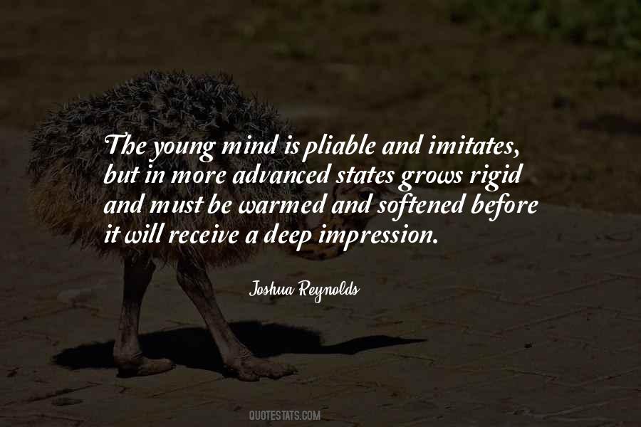 Joshua Reynolds Quotes #1701424