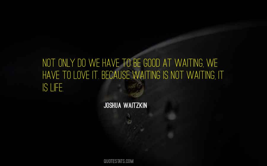 Joshua Waitzkin Quotes #1382751