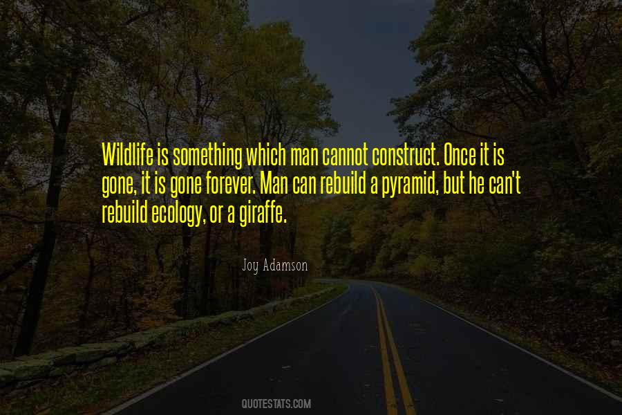 Joy Adamson Quotes #34021